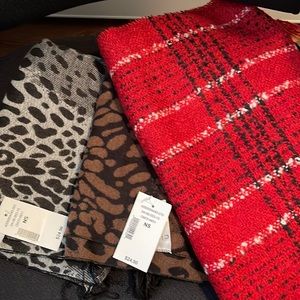BNWT 3 scarves from Cleo. Super soft.